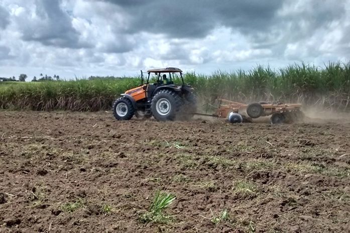 São Miguel dos Campos disponibiliza assistência técnica para o pequeno produtor