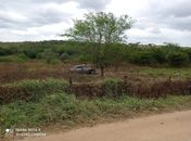 Motorista morre após colidir veículo com árvore na Al-220 em Jaramataia 