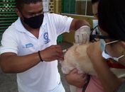 Mais de 1.300 cães e gatos são imunizados contra a raiva em mais uma etapa de vacinação em Delmiro Gouveia
