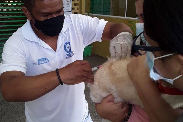 Mais de 1.300 cães e gatos são imunizados contra a raiva em mais uma etapa de vacinação em Delmiro Gouveia