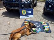 Mulher é detida com 10 kg de cocaína escondidos em caixas de suco, dentro de ônibus interestadual