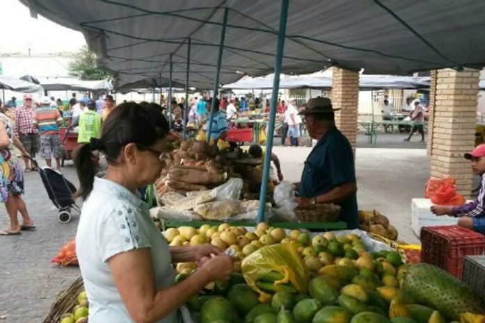 Feira livre de Arapiraca