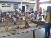 Desenvolvimento Sustentável abre inscrições para o Projeto Parque nas Escolas a partir de segunda-feira (1°)
