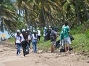 Praias e corais recebem limpeza no Clean up day