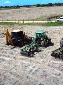 Mais de R$ 2,5 milhões: Com apoio da Prefeitura de Penedo, rizicultores triplicam plantio em 2026