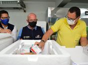 Distribuição de vacinas