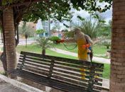 Prefeitura de Arapiraca realiza ações de desinfecção no Bosque das Arapiracas e Mercado do Artesanato