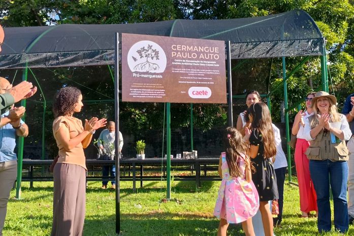 Novo viveiro reforça ações de preservação dos manguezais em Alagoas