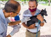 Campanha de vacinação antirrábica chega a parte alta de Maceió neste sábado (9); confira locais