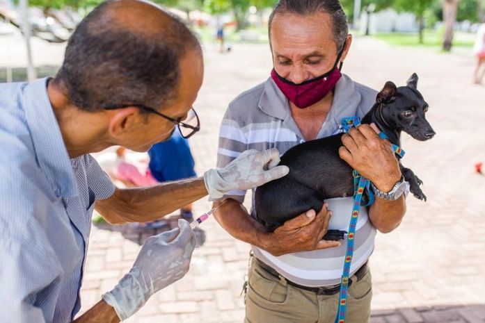 Campanha de vacinação antirrábica chega a parte alta de Maceió neste sábado (9); confira locais