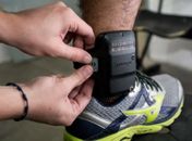 Câmara aprova aumento de prisão temporária de 5 para 15 dias