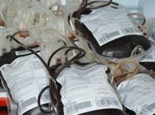 Doação de sangue