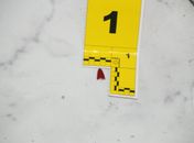 Ciência e justiça: como o trabalho da Polícia Científica ajudou a desvendar um feminicídio no Trapiche da Barra