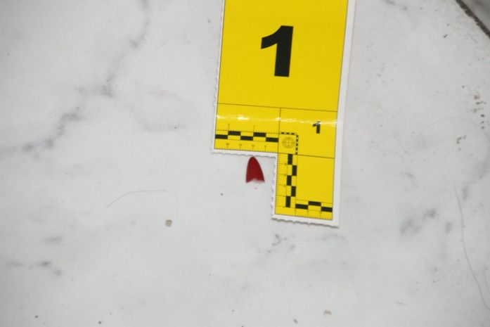 Ciência e justiça: como o trabalho da Polícia Científica ajudou a desvendar um feminicídio no Trapiche da Barra