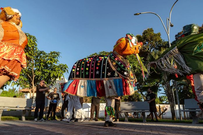 Em Tabuleiro dos Negros, Cortejo do Bulba transforma ruas em caminhos de memória e celebração