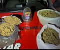 Homem é preso em flagrante com maconha avaliada em R$ 300 mil no município de Paripueira
