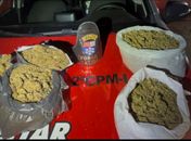 Homem é preso em flagrante com maconha avaliada em R$ 300 mil no município de Paripueira