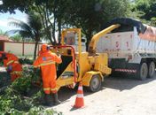 Prefeitura inicia trabalho de reaproveitamento de materiais de poda de árvore para adubação