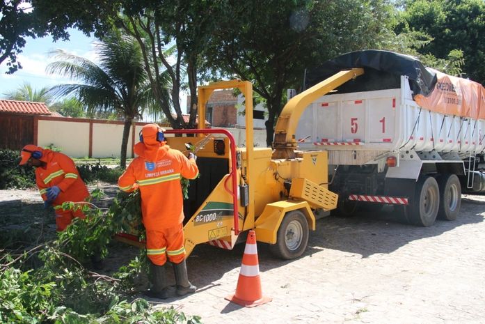 Prefeitura inicia trabalho de reaproveitamento de materiais de poda de árvore para adubação