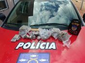 Drogas apreendidas