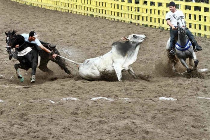 Vaquejada foi considerada ilegal pelo STF