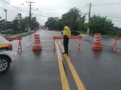 SMTT libera Avenida Jorge Montenegro de Barros após remoção de árvores