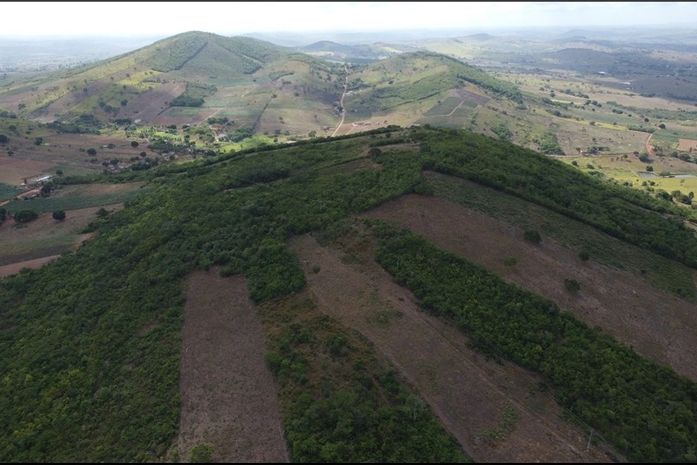 Com investimento estrangeiro, Arapiraca pode ser próximo polo do ouro no Brasil