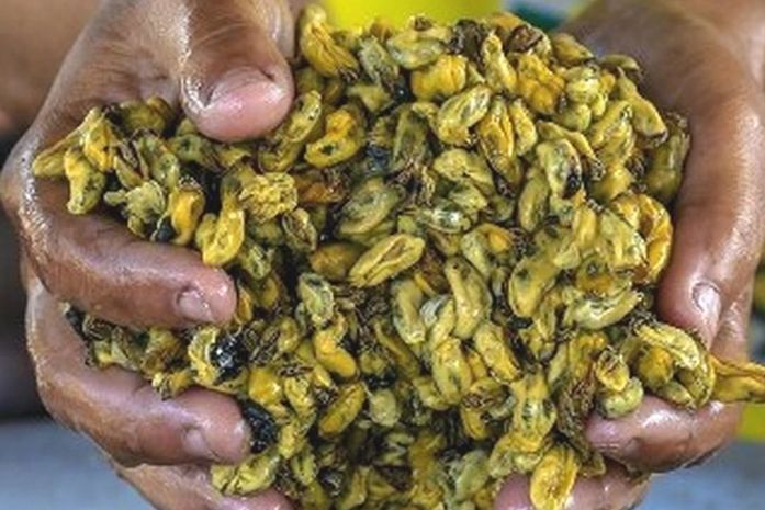 A mocinha comercializa sururu na feira e vive um dilema: ou come, ou coloca crédito no celular.