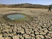 Governo decreta situação de emergência para cidades do Agreste e Sertão