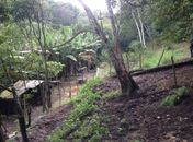 Área devastada