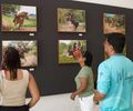 Últimos dias para conferir a exposição “Pega de Boi no Mato” no Museu Palácio Floriano Peixoto