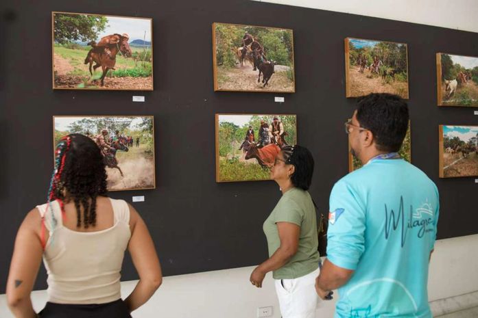 Últimos dias para conferir a exposição “Pega de Boi no Mato” no Museu Palácio Floriano Peixoto