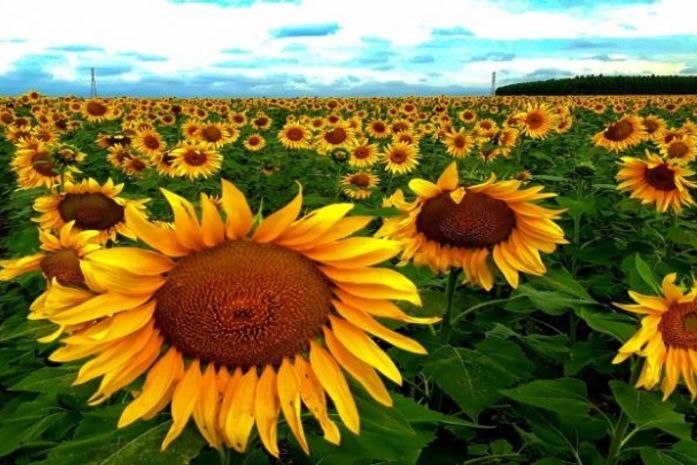 Eu soube que ele decidiu ir embora, muito tempo depois, que já tinho partido. Tinha 23 anos.