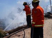 Bombeiros combatem incêndio em vegetação próxima a residências em Maragogi