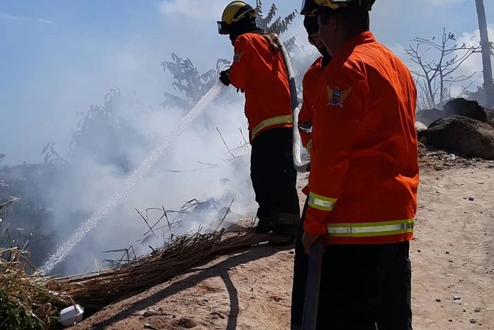 Bombeiros combatem incêndio em vegetação próxima a residências em Maragogi