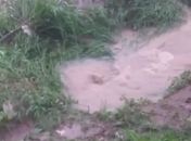 Bueiro onde menina caiu