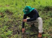 Junho Verde: projeto incentiva plantio de árvores em Alagoas