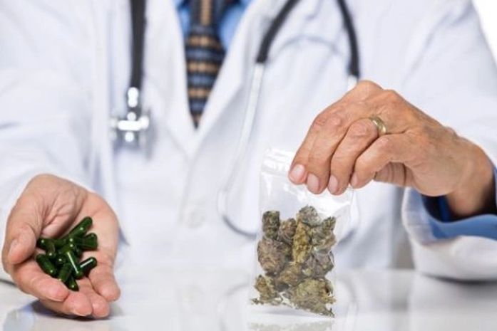 Senado: comissão debate descriminalização do cultivo da maconha para uso pessoal