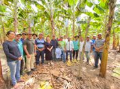 Prefeitura de Porto Calvo em parceria com SENAR leva novas técnicas agrícolas para os produtores de bananas