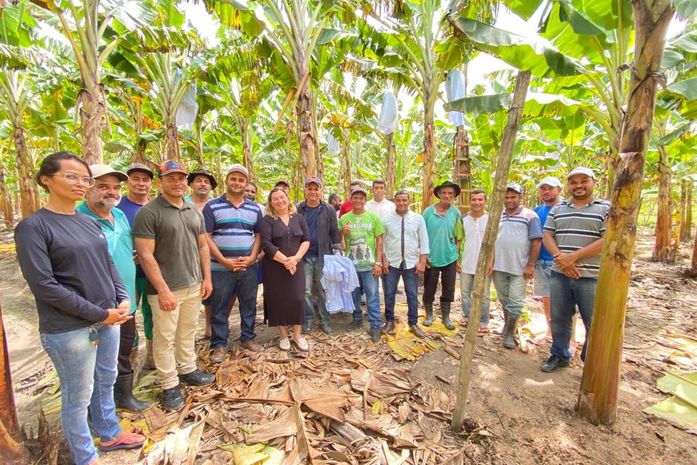 Prefeitura de Porto Calvo em parceria com SENAR leva novas técnicas agrícolas para os produtores de bananas