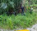 Polícia investiga morte em Rio Largo após corpo de jovem ser encontrado com rosto desfigurado