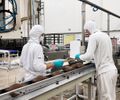 Firmando parceria e garantindo empregos, Girau realiza primeiro processo seletivo para trabalhadores da Romanato Alimentos