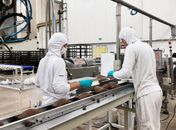 Firmando parceria e garantindo empregos, Girau realiza primeiro processo seletivo para trabalhadores da Romanato Alimentos