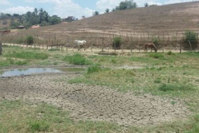 Alagoas registra agravamento da seca no mês de janeiro