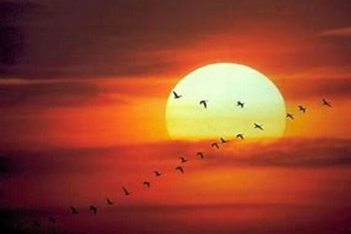 Após a comoção coletiva pelas redes sociais, os 20 corpos mortos, de 20 de novembro, na Serra da Barriga,AL, já foram esquecidos?