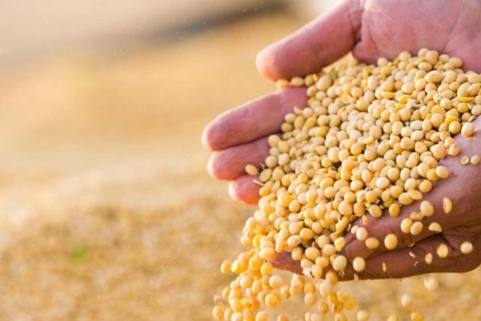 Estimativa do Valor Bruto da Produção atinge R$1,109 trilhão para este ano