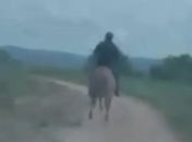 Delegado usa cavalo para efetuar prisão de suspeito de estupro de vulnerável no Sertão 