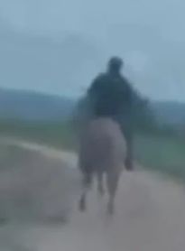 Delegado usa cavalo para efetuar prisão de suspeito de estupro de vulnerável no Sertão 