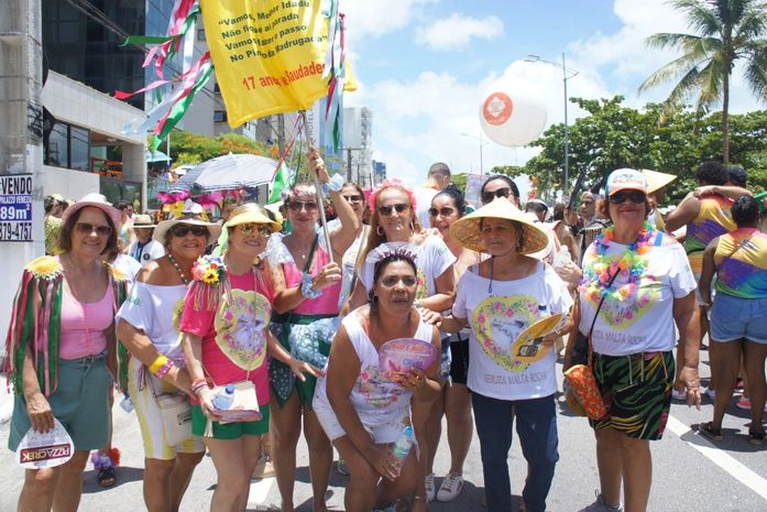 Fantasias de foliões são destaque nas prévias de carnaval em Maceió.