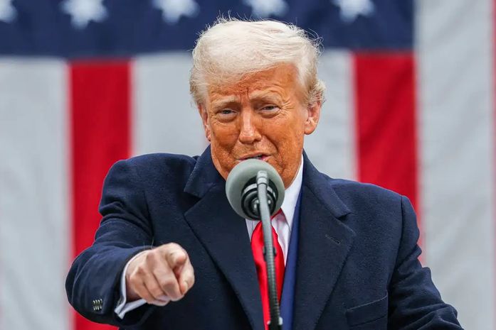 Bolsonaristas festejam tarifaço contra o Brasil